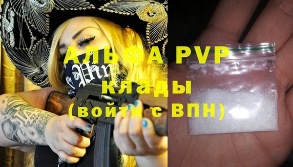 Альфа ПВП Магадан