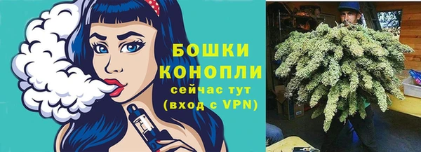 Альфа ПВП Магадан