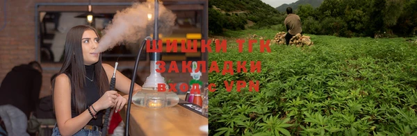 Альфа ПВП Магадан