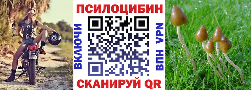 сколько стоит  Каменск-Уральский  Псилоцибиновые грибы GOLDEN TEACHER 
